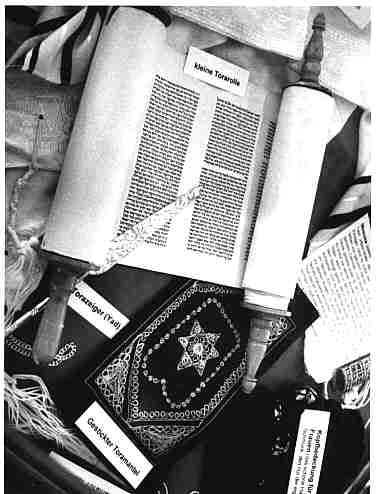 vitrine.jpg (19723 Byte)